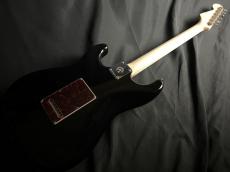 Red House Guitars GeneralS22 SSH S-LTD_7