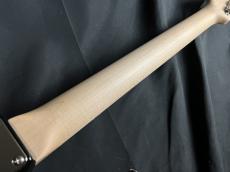 Red House Guitars GeneralS22 SSH S-LTD_9