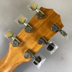 Taylor 214ce Rosewood PLUS_8