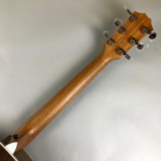 Taylor 214ce DLX_7