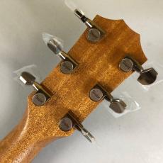 Taylor 214ce DLX_8