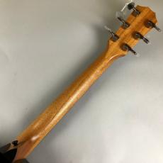 Taylor 224ce-Koa DLX_7