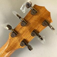 Taylor 224ce-Koa DLX_8
