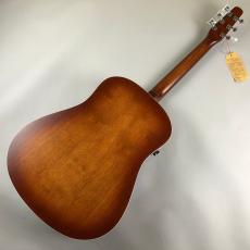 Seagull Entourage　Qit_6