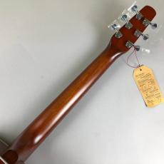 Seagull Entourage　Qit_7