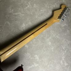 Fender Japan ST-STD/M_8
