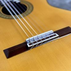 桜井 河野 Professional-SR/635_10