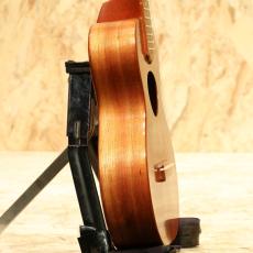 KoAloha KCM-00 Concert 2010_4