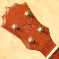 KoAloha KCM-00 Concert 2010_8