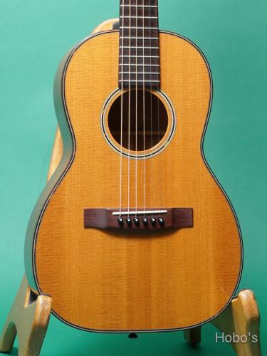 Seagull (塩崎 雅亮) 5-Custom