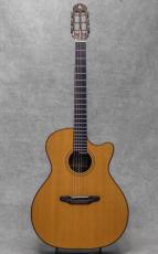 Antonius Mueller S-6 German Spruce / Jacaranda / 2008_2