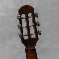 Antonius Mueller S-6 German Spruce / Jacaranda / 2008_10