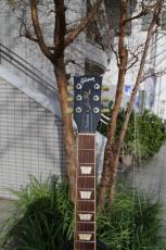 Gibson Les Paul Traditional _3