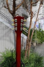 Gibson Les Paul Traditional _5