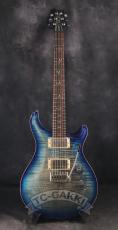 Paul Reed Smith [PRS] 2010 EXPERIENCE SPECIAL STOCK Custom 24_2