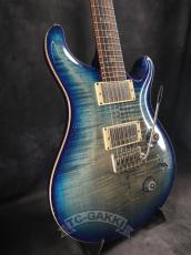Paul Reed Smith [PRS] 2010 EXPERIENCE SPECIAL STOCK Custom 24_4
