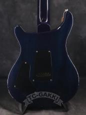 Paul Reed Smith [PRS] 2010 EXPERIENCE SPECIAL STOCK Custom 24_5