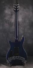 Paul Reed Smith [PRS] 2010 EXPERIENCE SPECIAL STOCK Custom 24_6