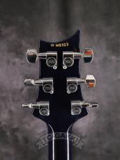Paul Reed Smith [PRS] 2010 EXPERIENCE SPECIAL STOCK Custom 24_7