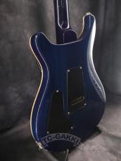 Paul Reed Smith [PRS] 2010 EXPERIENCE SPECIAL STOCK Custom 24_8