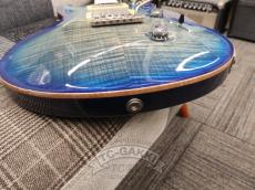 Paul Reed Smith [PRS] 2010 EXPERIENCE SPECIAL STOCK Custom 24_10