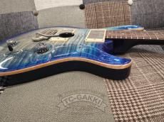 Paul Reed Smith [PRS] 2010 EXPERIENCE SPECIAL STOCK Custom 24_12