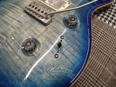 Paul Reed Smith [PRS] 2010 EXPERIENCE SPECIAL STOCK Custom 24_13