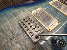 Paul Reed Smith [PRS] 2010 EXPERIENCE SPECIAL STOCK Custom 24_14