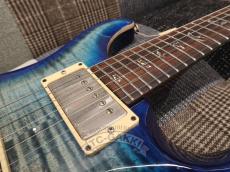 Paul Reed Smith [PRS] 2010 EXPERIENCE SPECIAL STOCK Custom 24_15