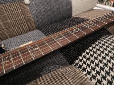 Paul Reed Smith [PRS] 2010 EXPERIENCE SPECIAL STOCK Custom 24_16