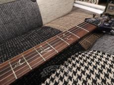 Paul Reed Smith [PRS] 2010 EXPERIENCE SPECIAL STOCK Custom 24_17