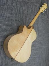 Taylor GCce-Maple SP LTD 【6本限定品】_2