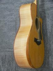 Taylor GCce-Maple SP LTD 【6本限定品】_5
