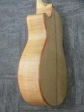 Taylor GCce-Maple SP LTD 【6本限定品】_6