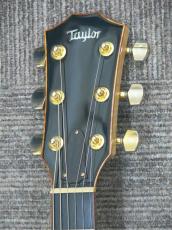 Taylor GCce-Maple SP LTD 【6本限定品】_7
