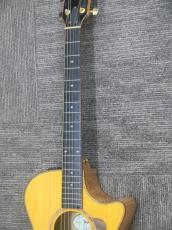 Taylor GCce-Maple SP LTD 【6本限定品】_9