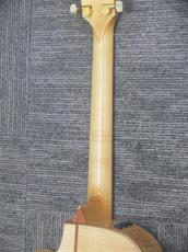 Taylor GCce-Maple SP LTD 【6本限定品】_10