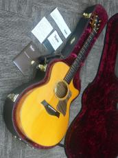 Taylor GCce-Maple SP LTD 【6本限定品】_12