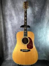 Martin D-45 Brazil_4