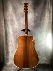 Martin D-45 Brazil_5