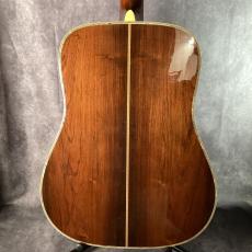 Martin D-45 Brazil_8