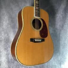 Martin D-45 Brazil_9