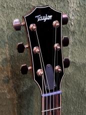 Taylor 【Top Japan Retailer Fair】814ce Special Edition Sedona #1204095049【48回迄金利0%対象】_4