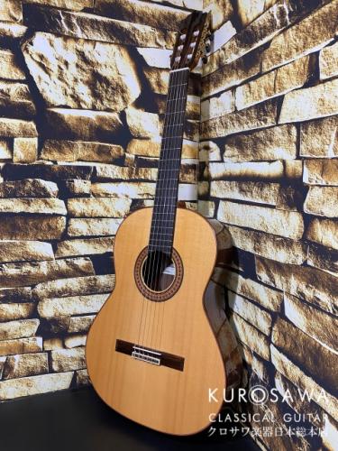 Paco Castillo パコ・カスティージョ 215FR 松・ローズウッド【日本総本店2F在庫品】