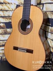 Paco Castillo パコ・カスティージョ 215FR 松・ローズウッド【日本総本店2F在庫品】_2