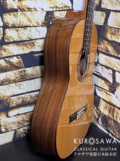Paco Castillo パコ・カスティージョ 215FR 松・ローズウッド【日本総本店2F在庫品】_7