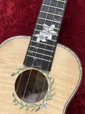 Leho LHUC-ASMP-LMT #5120557【コンサートサイズ】【チューナー&ウクレレ教本プレゼント】_6