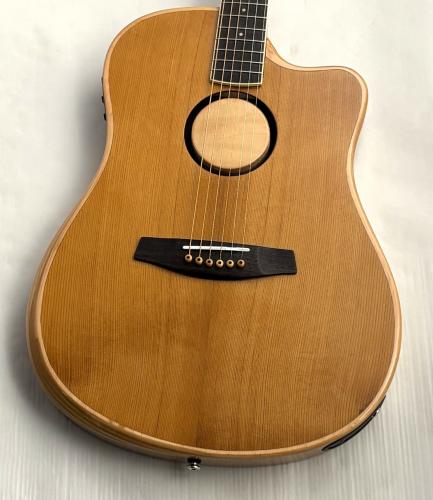 L.R.Baggs AEG-1 TOR #0891