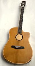 L.R.Baggs AEG-1 TOR #0891_2