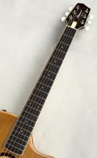 L.R.Baggs AEG-1 TOR #0891_3